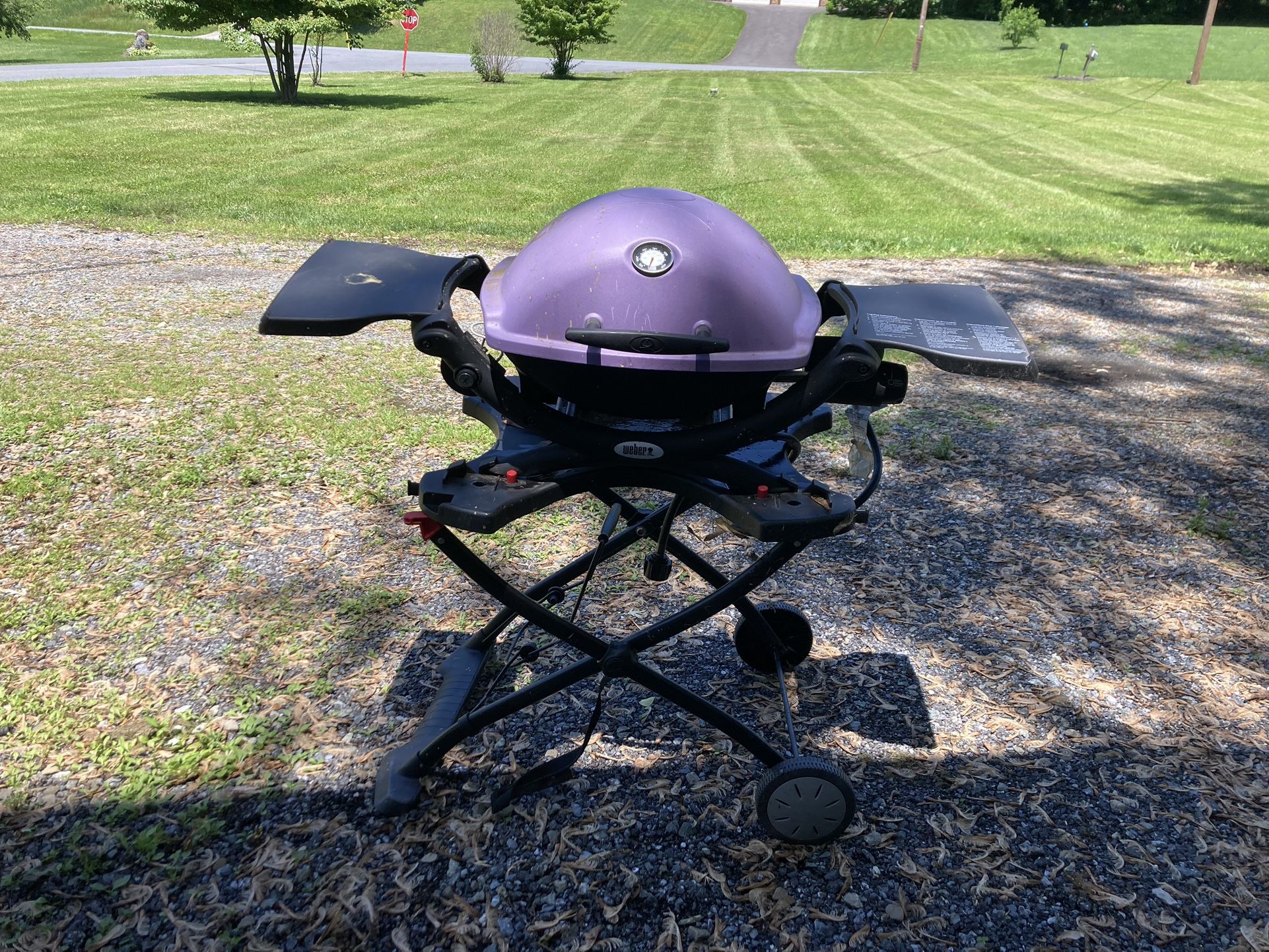 Weber Grill