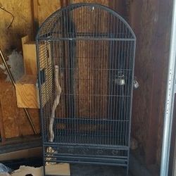 Bird Cage