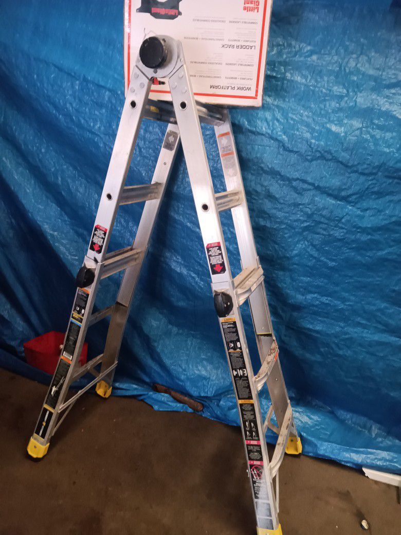 Mighty Gorilla Foldable Ladder