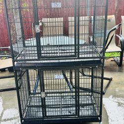 Dog Kennel 