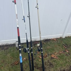 Saltwater Fishing Rods