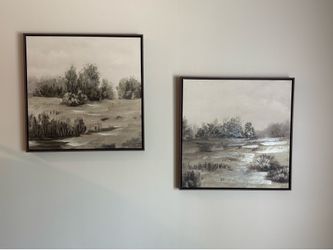 Art frames