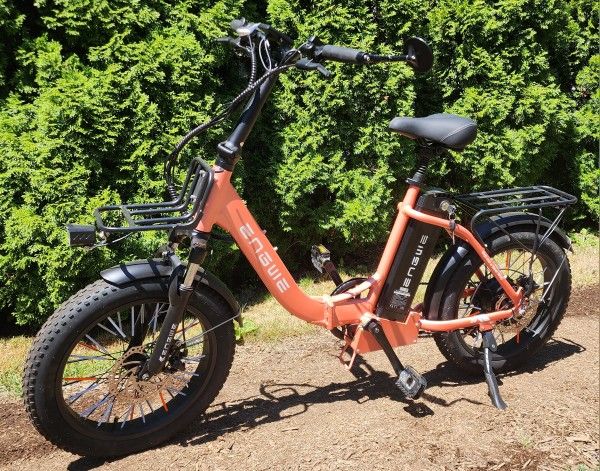 ENGWE L20 2.0
750W 75N.m 80 Miles Step-Thru Utility E-bike With Charger