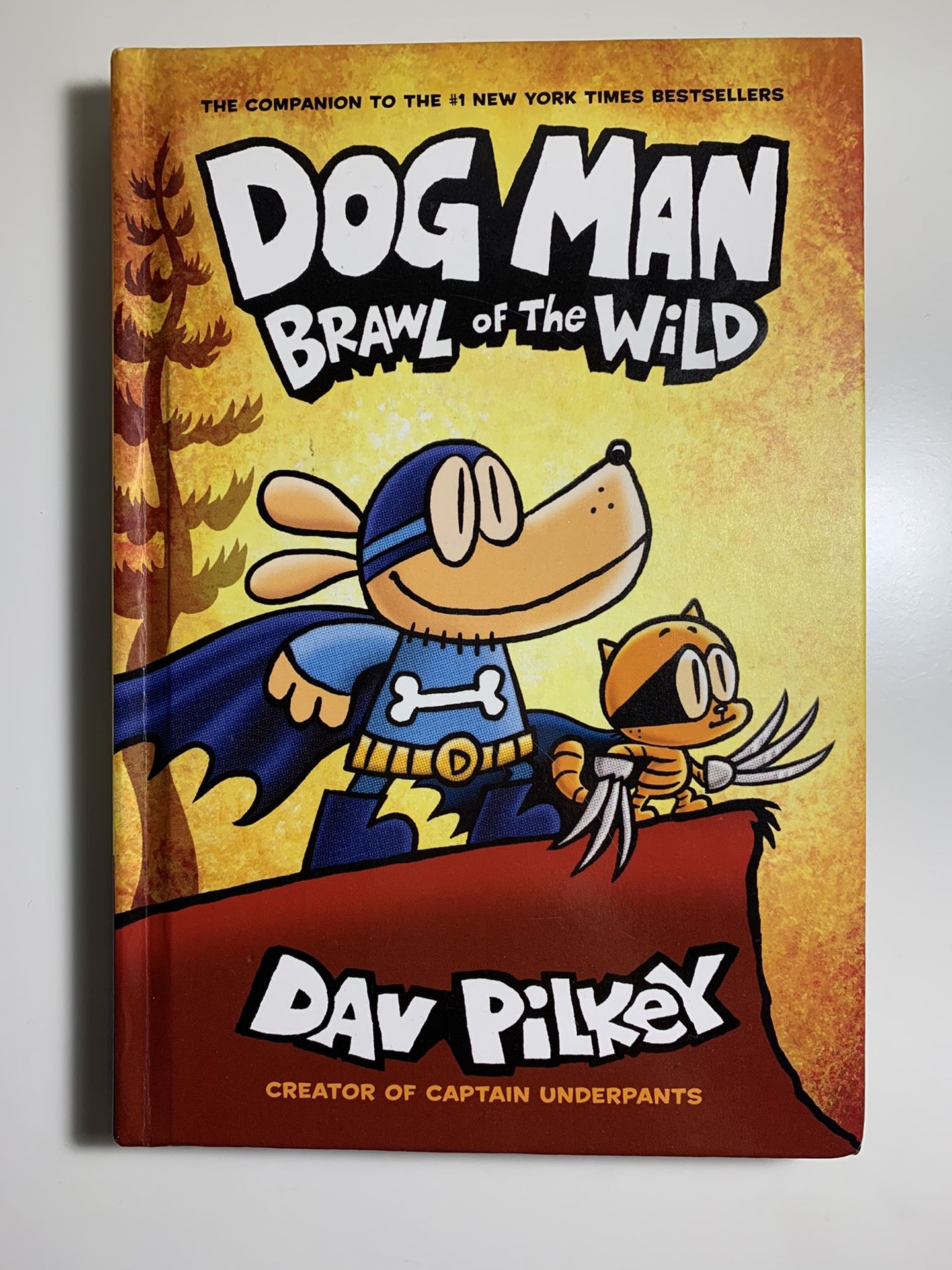 Dog man book