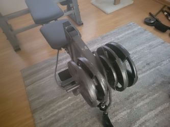 Gold gym weights