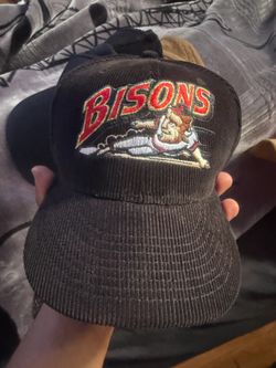 Bisons hat