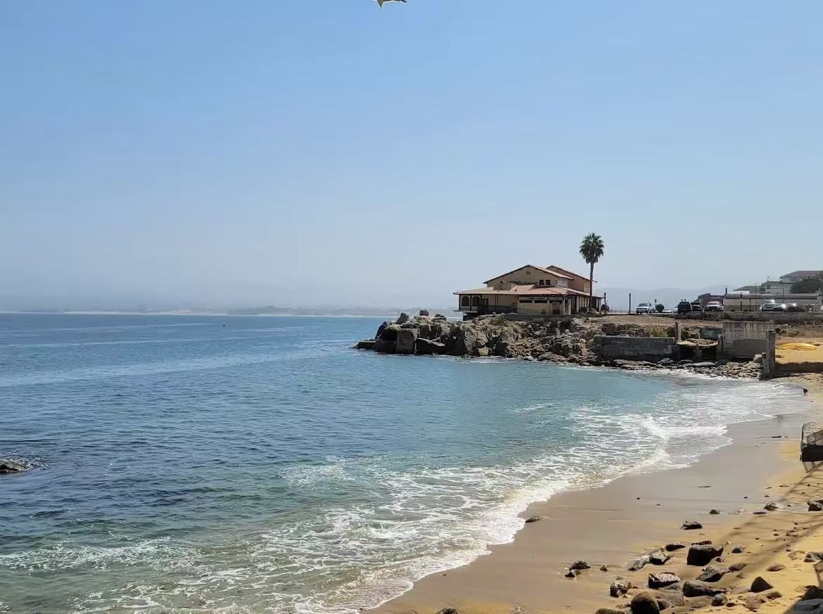 Monterey Bay Aquarium E-Ticket Notice! Confirm the date and email address. You can pay through the Zelle or Cash in person (In Fresno Only)! I'll boo