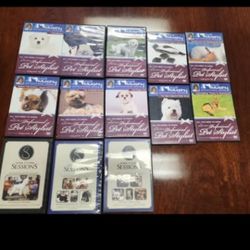 Jodi Murphy Dog Grooming DVDs