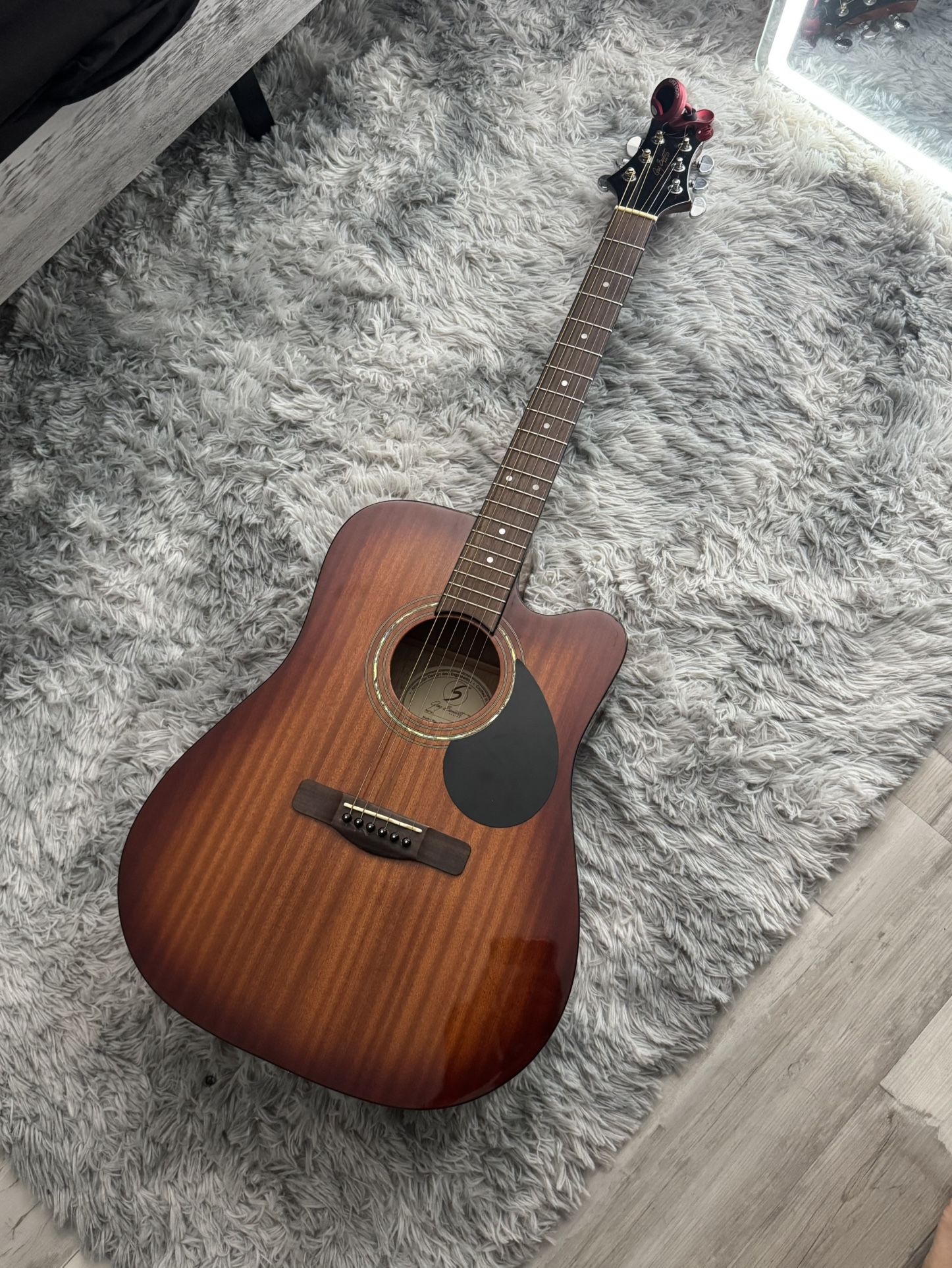 Acoustic Guitar (Greg Bennett)