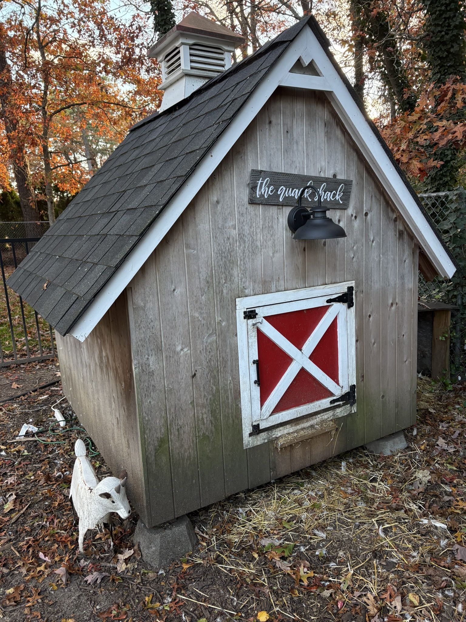 Farm House For Ducks Or Chicken 
