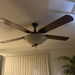 Ceiling Fan 