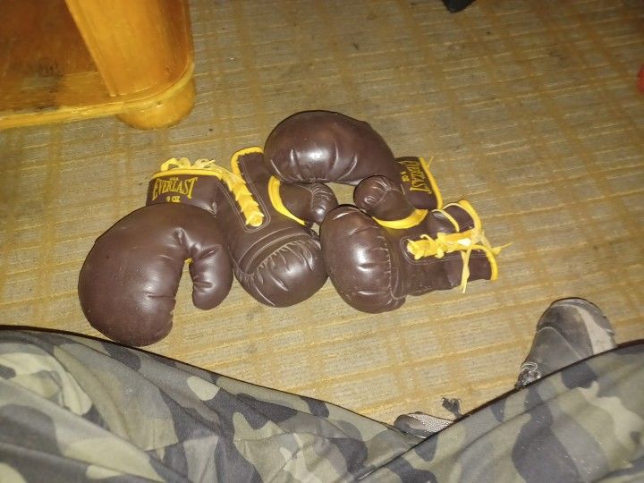 Everlast 9 Ounce Vintage Gloves.