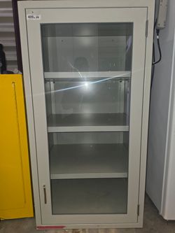 Hanson Metal Laboratory Storage Cabinet with Glass Door