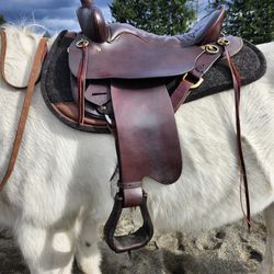 Tucker Saddle 