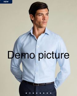 Charles Tyrwhitt Non-Iron Slim Fit Dress Shirt (17/35 in)