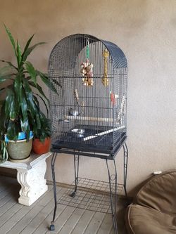 Bird Cage