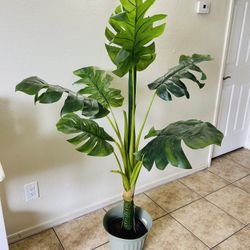Fake Plant 5 Ft Tall