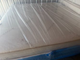 California King Saatva Zen Haven All Latex Mattress 