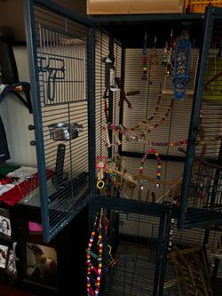 Bird cage