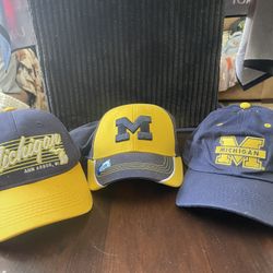 Michigan Hate!