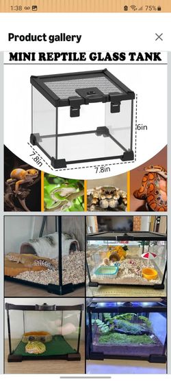 Mini Reptile Glass Tank Brand new. 7.8x7.8x6in