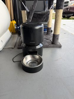 Automatic cat feeder
