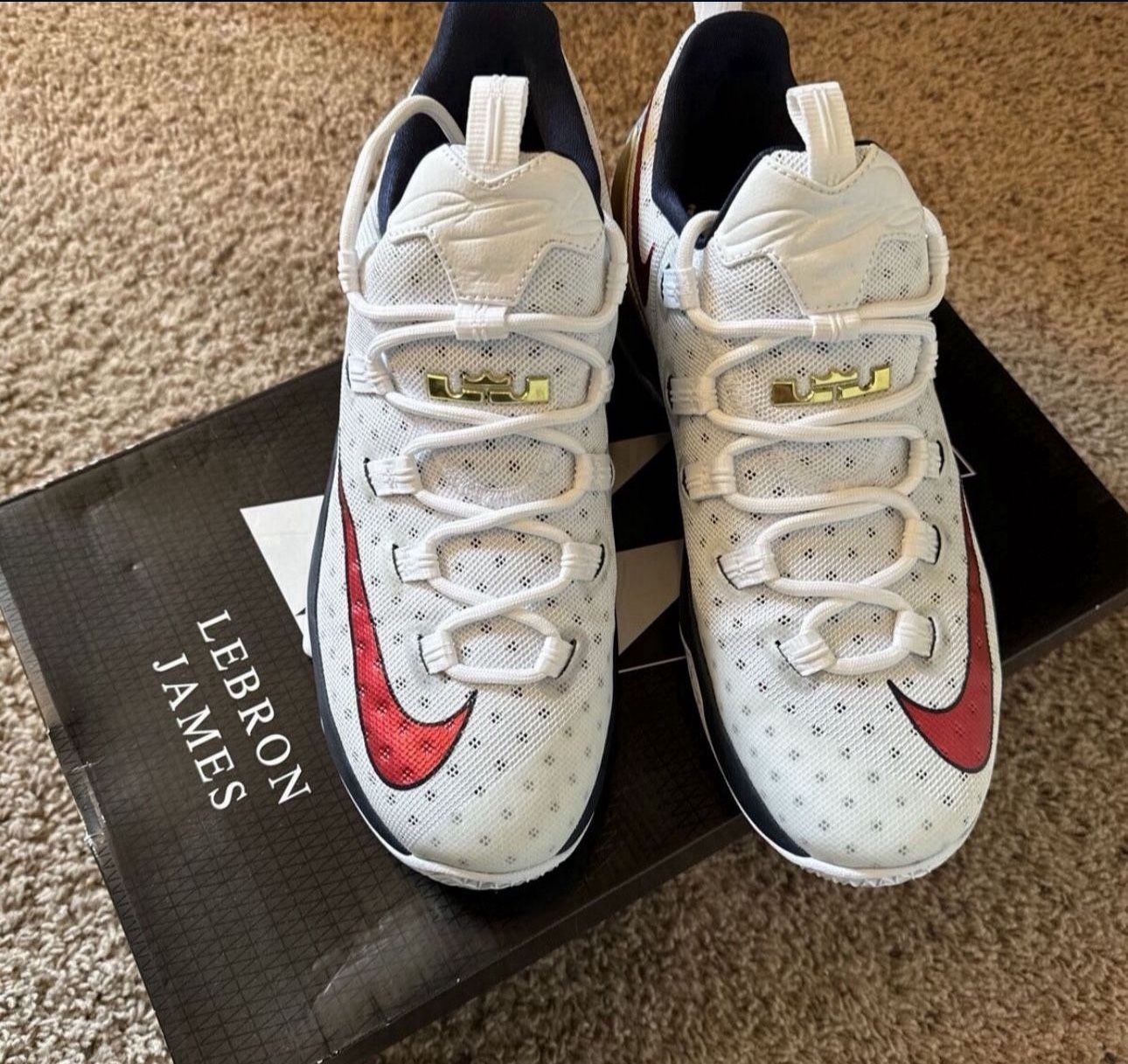 Nike Lebron 13 Low USA SIZE 11