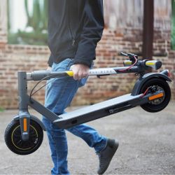 Brand New Shell Foldable Scooter
