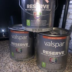 Valspar reserve Pink Paint 