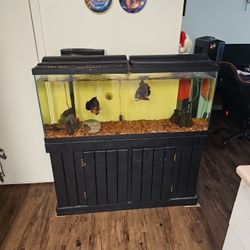 Fish Tank