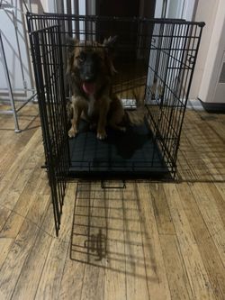 dog cage Large