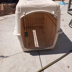 Dog House  Large