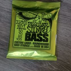 Ernie Ball Regular Slinky Bass Strings