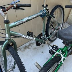 Two Bikes (15 Speed Index Shifting Glacierpoint Magna And Next FS Chaos)
