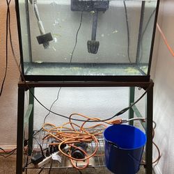 20 Gallon Fish Tank 