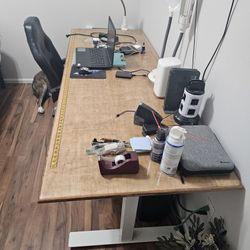 Electrical Rising Desk