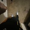 Five Boii