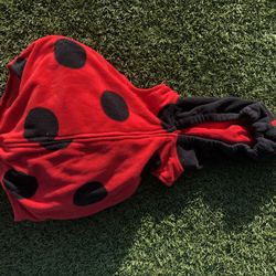 Halloween costume — girl ladybug — size 12 months