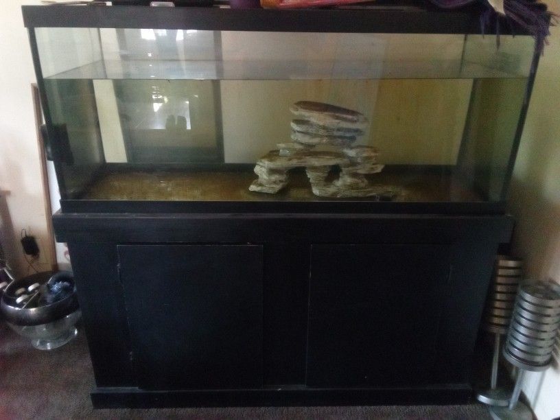 Fish ๐ Tank