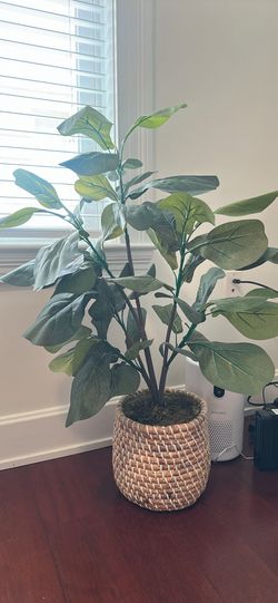 Artificial Fiddle Leaf Fig Tree with Woven Basket Planter – $30