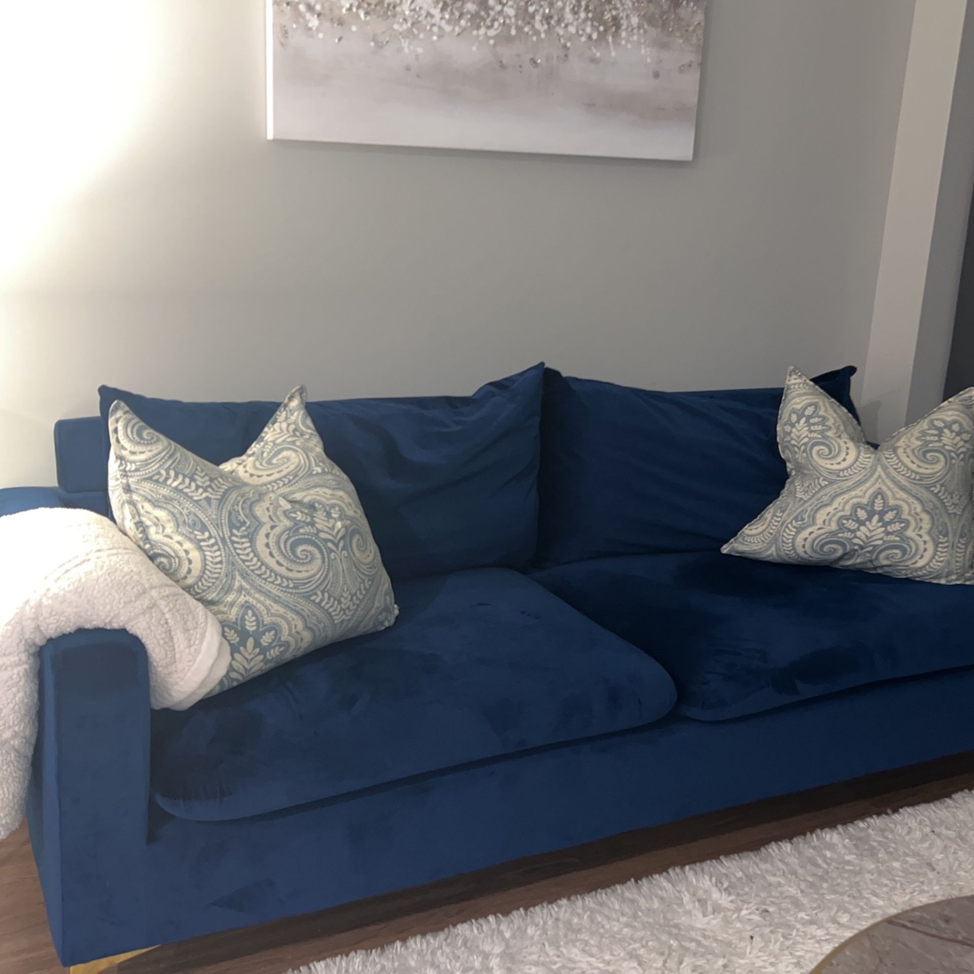 Velvet Blue Couch 