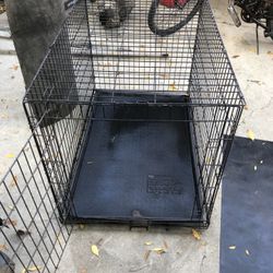 Dog Kennel