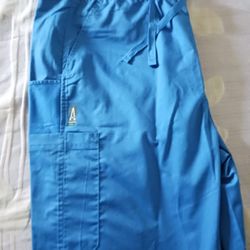 Royal Blue Scrubs Male (L)