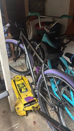 Elite bmx 29in  (NEED GONE)