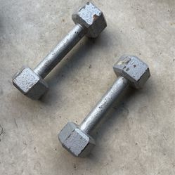 5 Lb Weights *free*