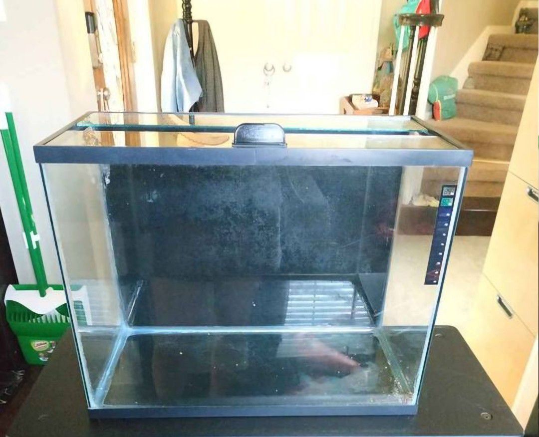 14 g fish tank with lid