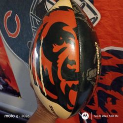Chicago bears