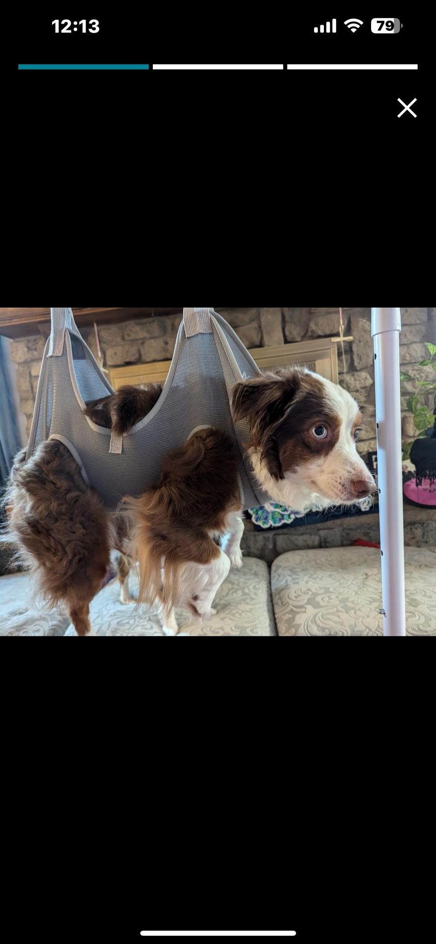 Dog Grooming Hammock Harness for Dogs & Cats with Pet Nail Clipper Trimmer - Cat Hanger Sling for Trimming Clipping Nails- Dog Hammock Restraint Bag f