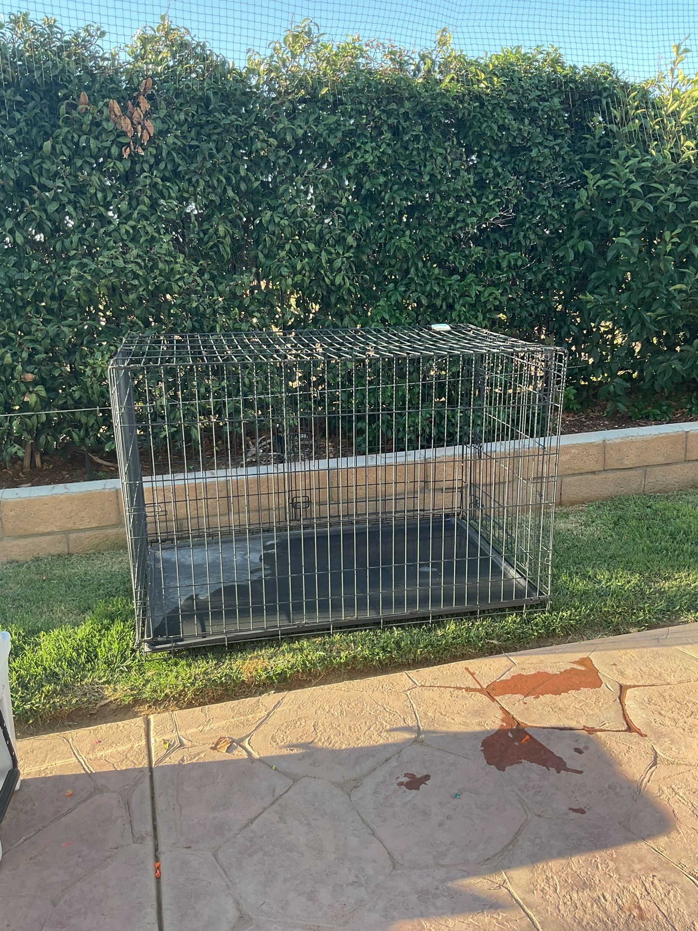 xL dog crate