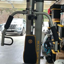 Gold Gym Weights 